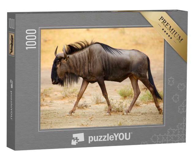 Puzzle de 1000 pièces « Le gnou rayé dans le désert du Kalahari »
