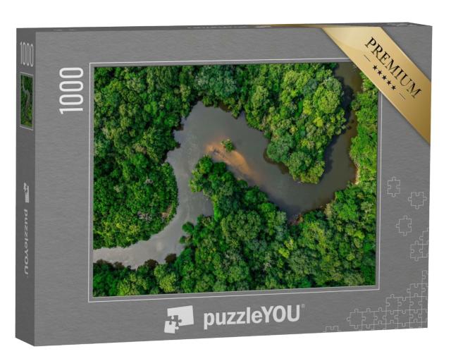 Puzzle de 1000 pièces « Jungle, traversée par une large rivière »