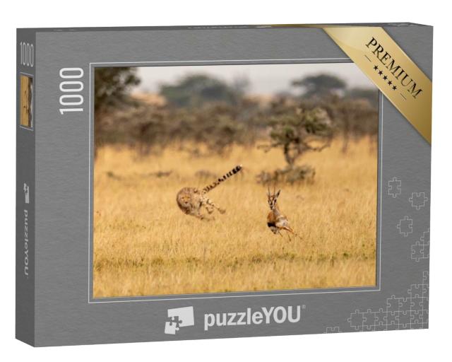 Puzzle de 1000 pièces « Guépard en chasse »
