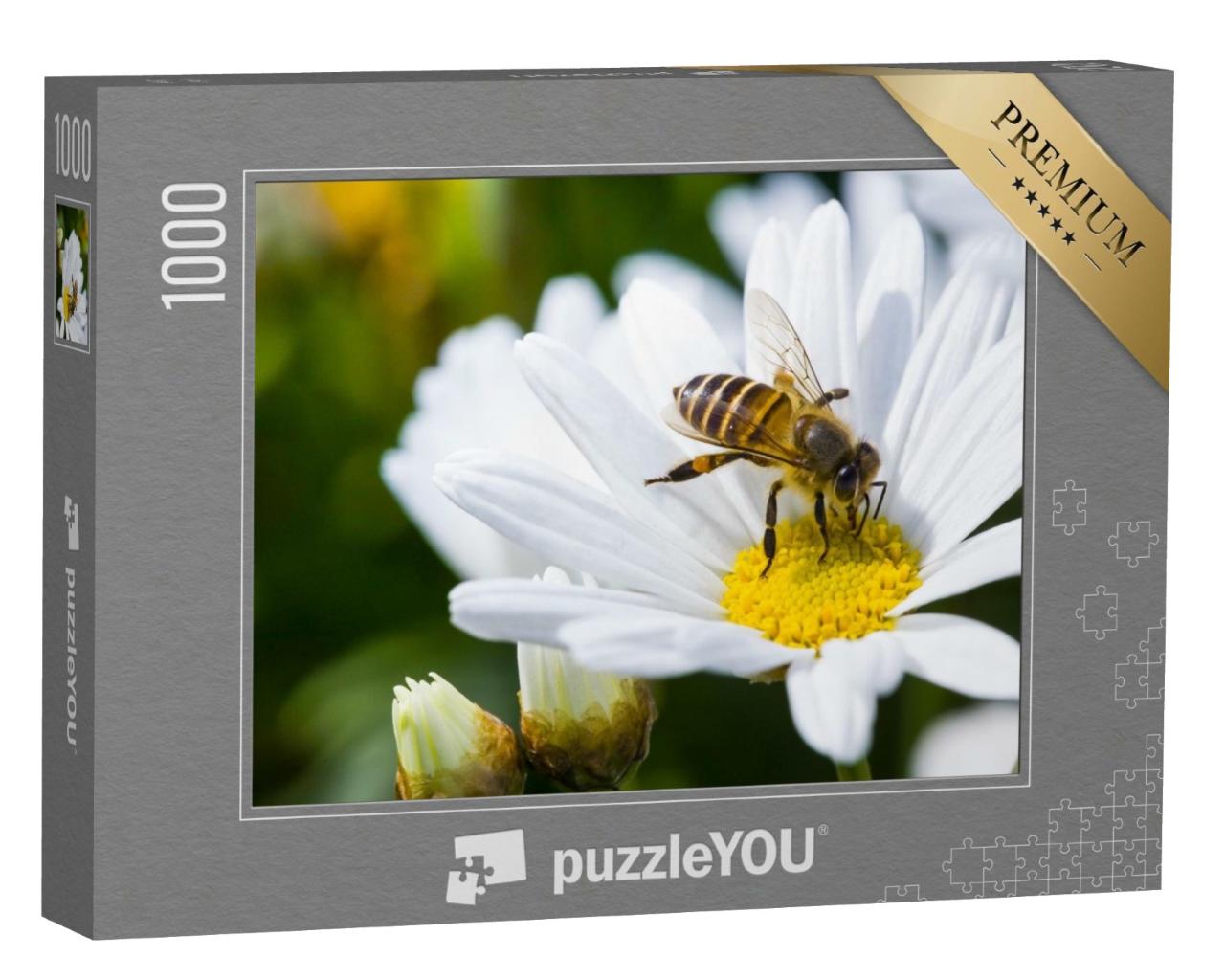 Puzzle de 1000 pièces « Pâquerette et abeille au printemps »