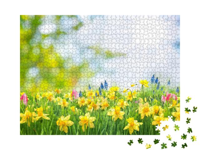 Puzzle de 1000 pièces « Prairie pleine de narcisses en fleurs sous le soleil printanier »