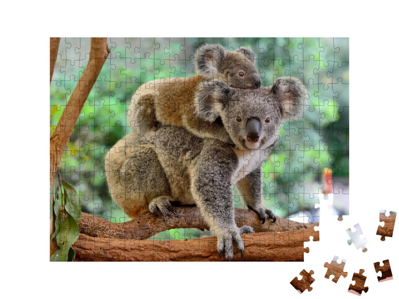 Puzzle de 200 pièces « Mère koala avec bébé sur le dos sur un eucalyptus »