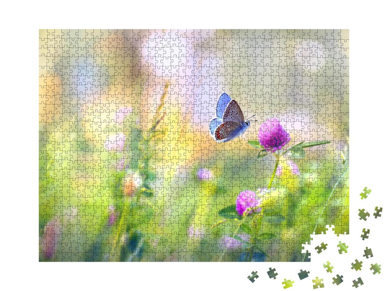Puzzle de 1000 pièces « Une prairie avec du trèfle et un papillon »