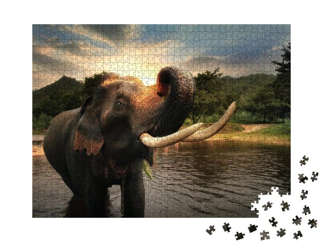 Puzzle de 1000 pièces « Eléphant sauvage, province de Kanchanabur, Thaïlande »