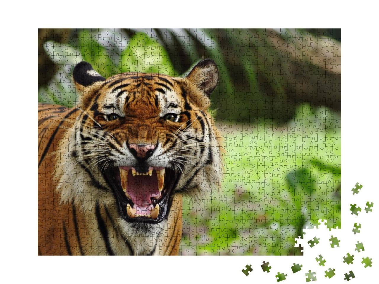Puzzle de 1000 pièces « Dents blanchies d'un tigre »