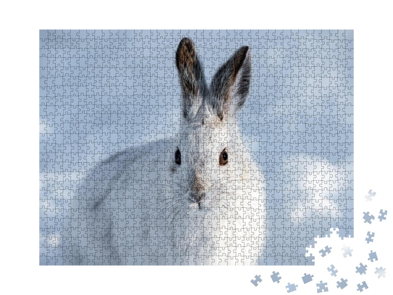 Puzzle de 1000 pièces « Lapin en raquettes blanc aux oreilles brunes »