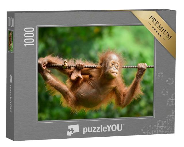 Puzzle de 1000 pièces « Gros plan sur l'orang-outan de Kalimantan »