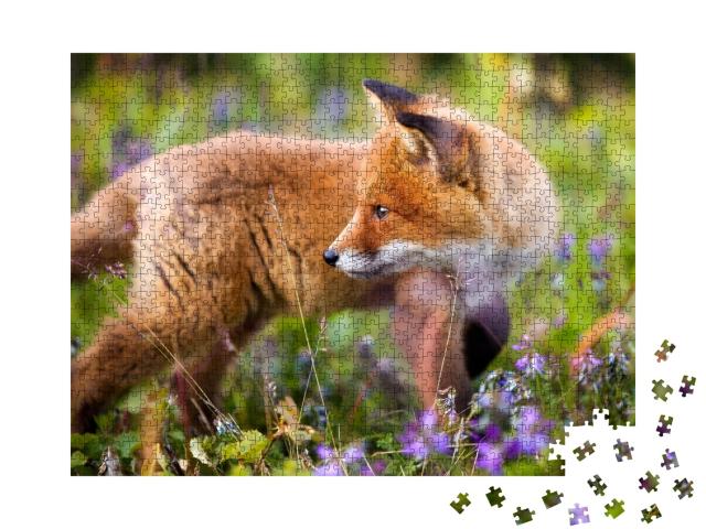 Puzzle de 1000 pièces « Jeune renard roux curieux dans une prairie fleurie »