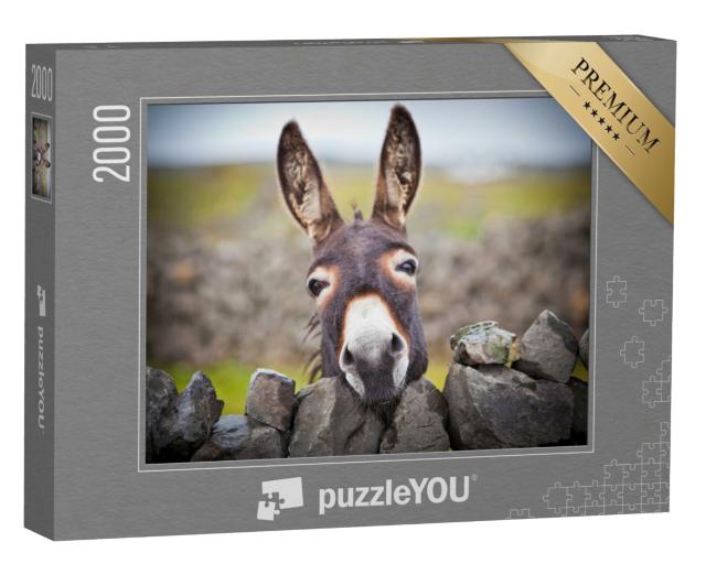 Puzzle de 2000 pièces « Un âne curieux »