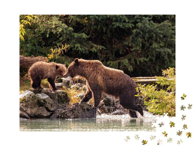 Puzzle de 1000 pièces « Mère ours pêchant avec ses petits, Alaska »