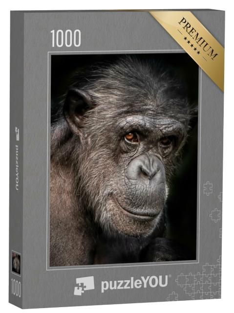 Puzzle de 1000 pièces « Une photo portrait d'un chimpanzé femelle »