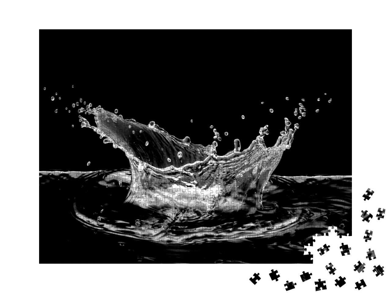 Puzzle de 1000 pièces « Éclaboussures d'eau en noir et blanc »