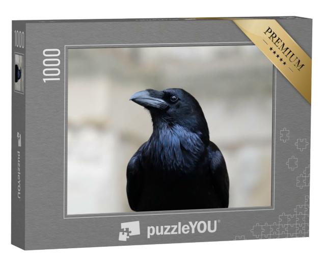 Puzzle de 1000 pièces « Gros plan sur un grand corbeau »