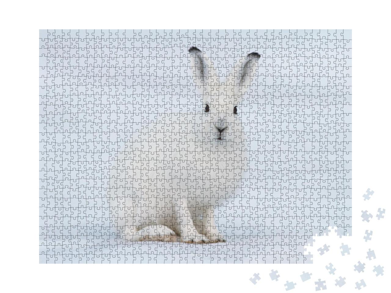 Puzzle de 1000 pièces « Un lièvre blanc dans la toundra, Sibérie »