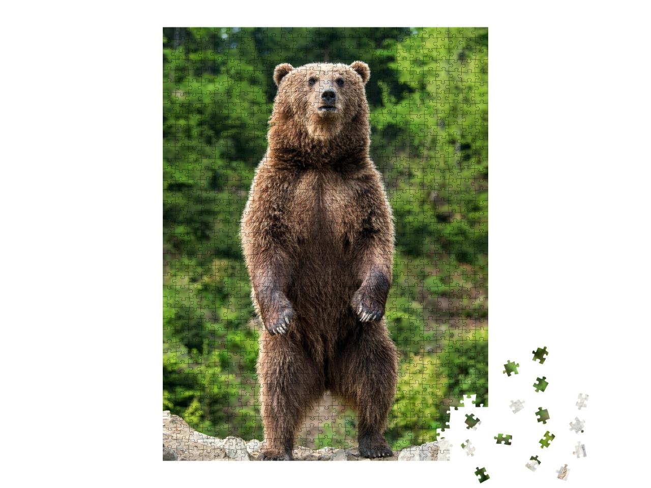 Puzzle de 1000 pièces « Un ours brun au printemps »