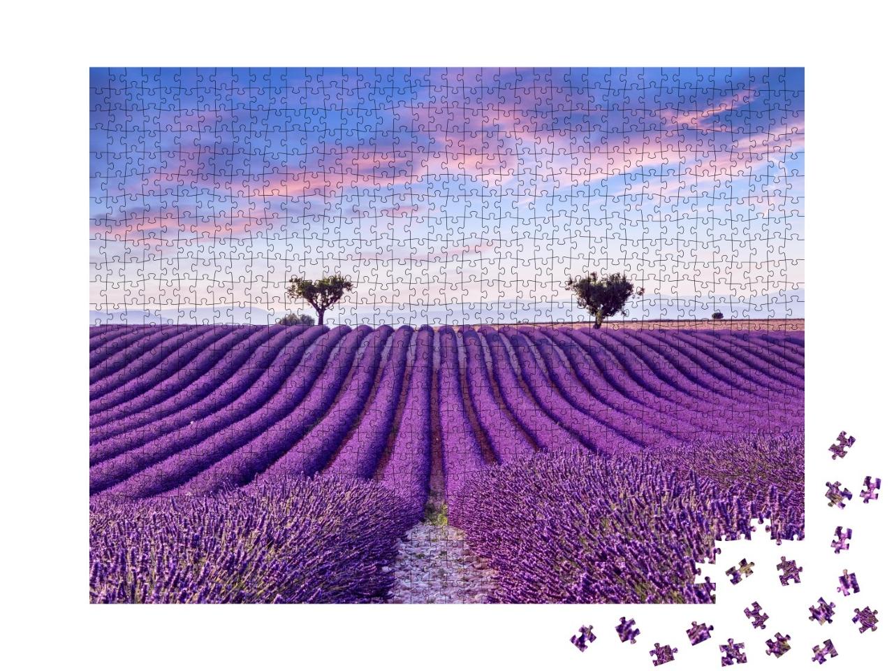 Puzzle de 1000 pièces « Champ de lavande en été, France, Provence »