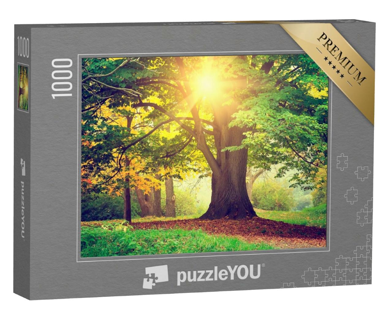 Puzzle de 1000 pièces « Soirée au parc »