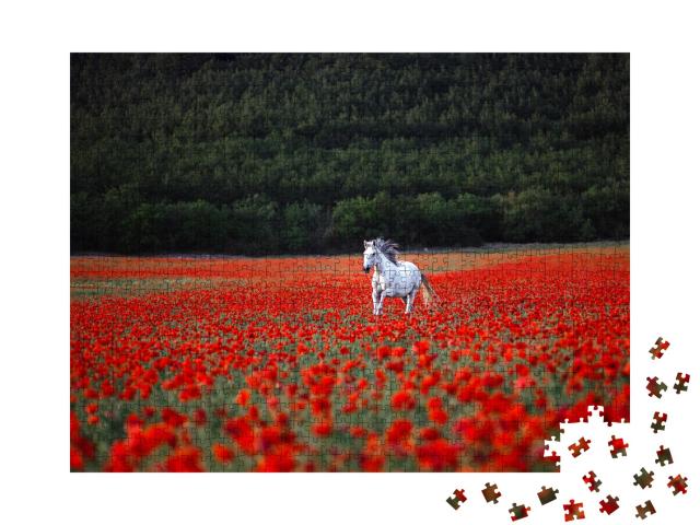 Puzzle de 1000 pièces « Un cheval blanc galope à travers un champ de coquelicots rouges »