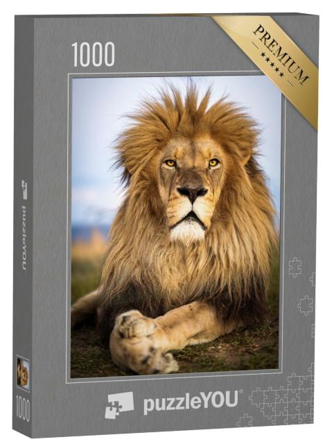 Puzzle de 1000 pièces « Des lions sauvages en Afrique du Sud »