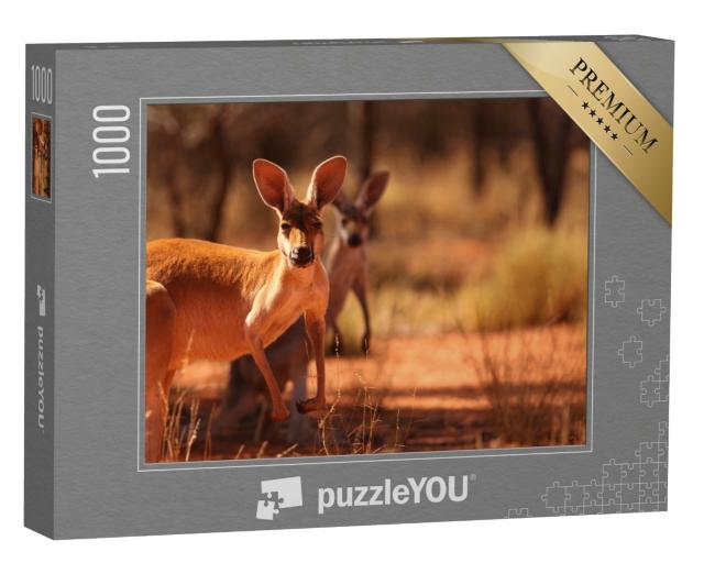 Puzzle de 1000 pièces « Kangourous dans le sable rouge de l'outback central australien »