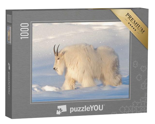 Puzzle de 1000 pièces « Une chèvre de montagne dans le nord du Canada »