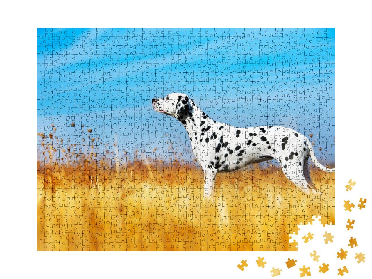 Puzzle de 1000 pièces « Beau dalmatien dans un champ »