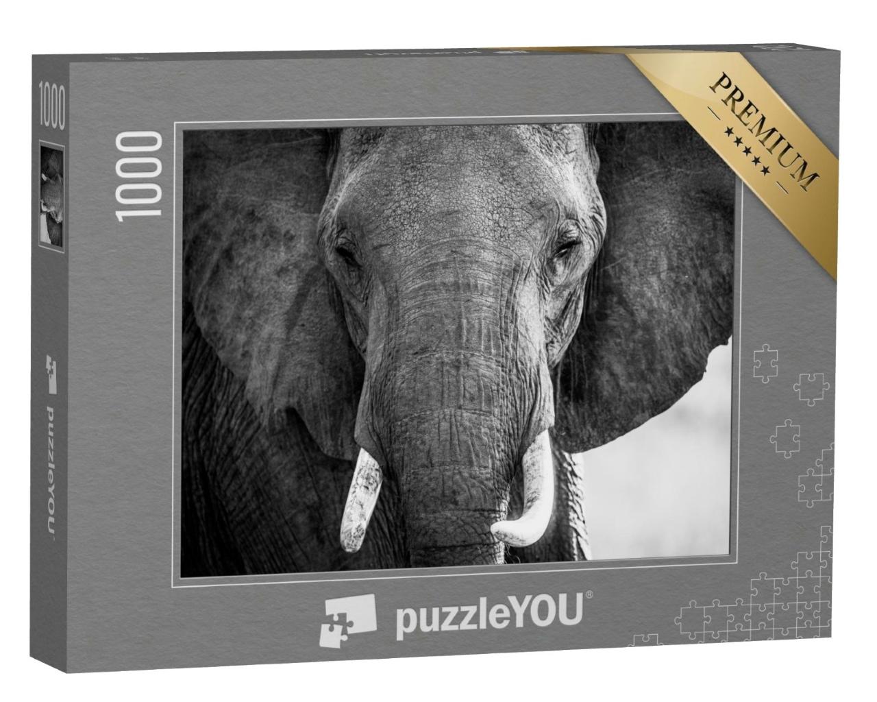 Puzzle de 1000 pièces « Patte d'éléphant et ivoire avec visage dans le Masai Mara au Kenya »