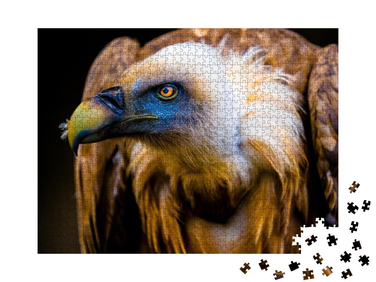 Puzzle de 1000 pièces « Portrait d'un jeune vautour »