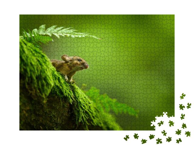 Puzzle de 1000 pièces « Une souris domestique curieuse sur un tronc d'arbre moussu »