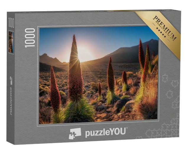 Puzzle de 1000 pièces « Paysage sauvage de Tenerife, îles Canaries »