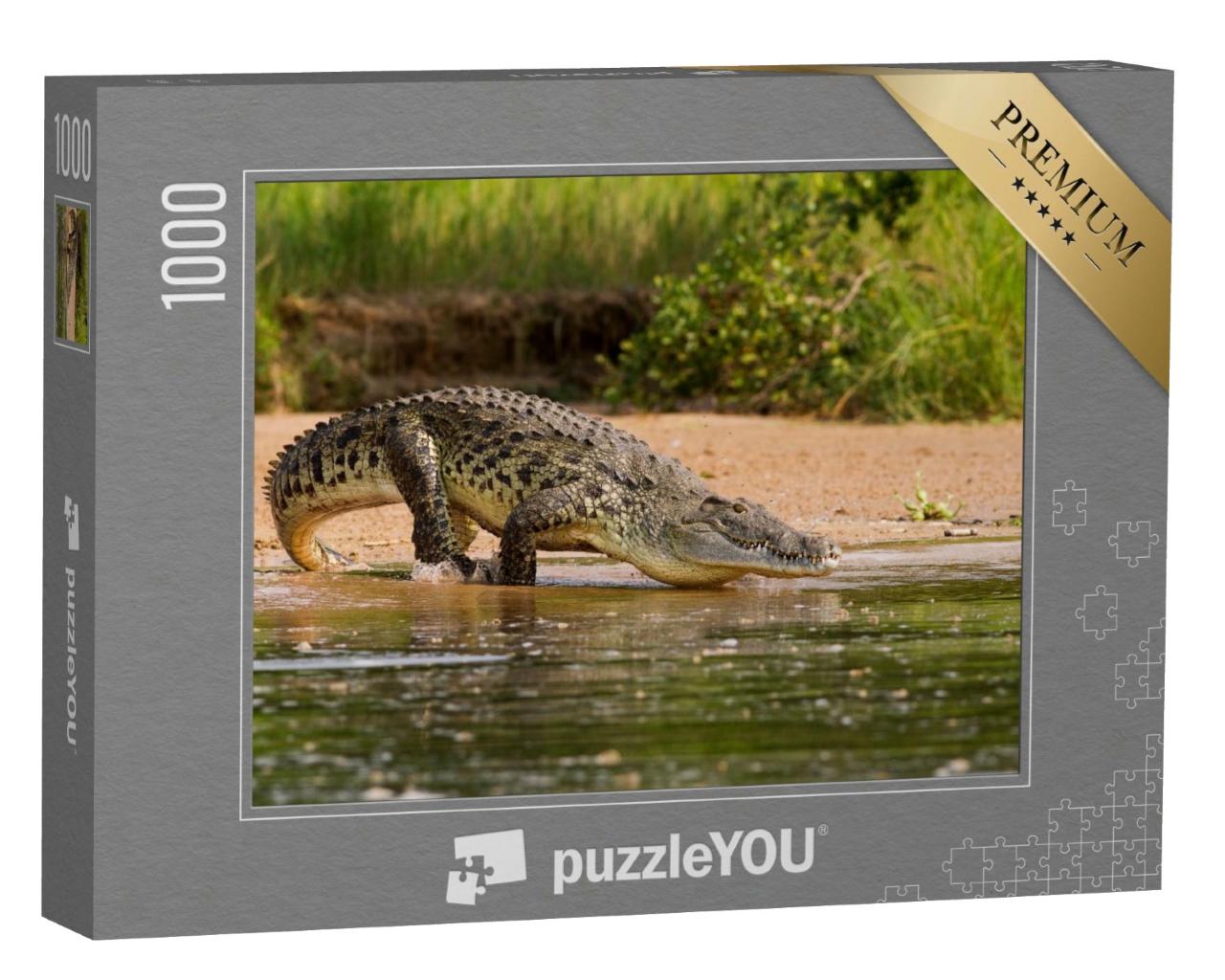 Puzzle de 1000 pièces « Un crocodile du Nil, le plus grand prédateur du Nil »