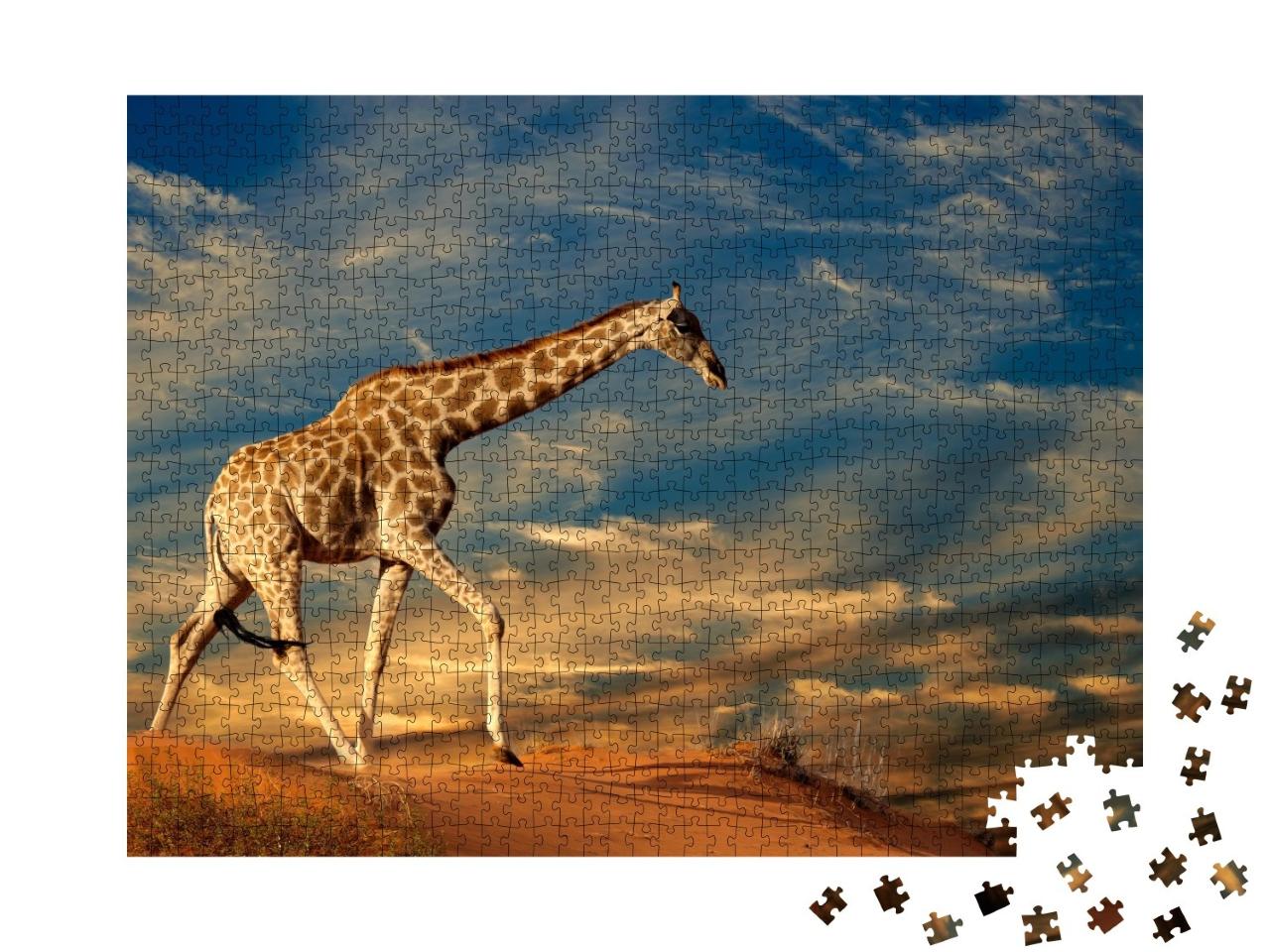 Puzzle de 1000 pièces « Girafe sur une dune de sable en Afrique du Sud »