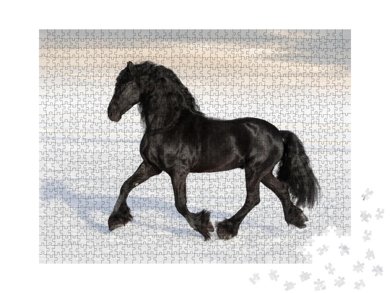 Puzzle de 1000 pièces « Cheval frison noir dans la neige »
