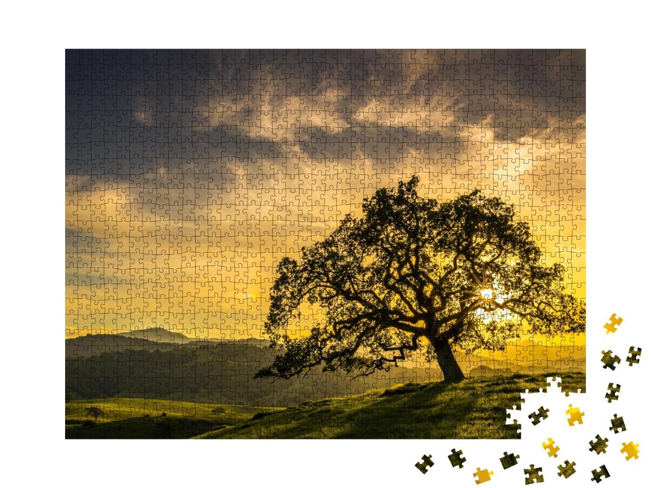 Puzzle de 1000 pièces « Coucher de soleil à travers un chêne près de San Jose, Californie »