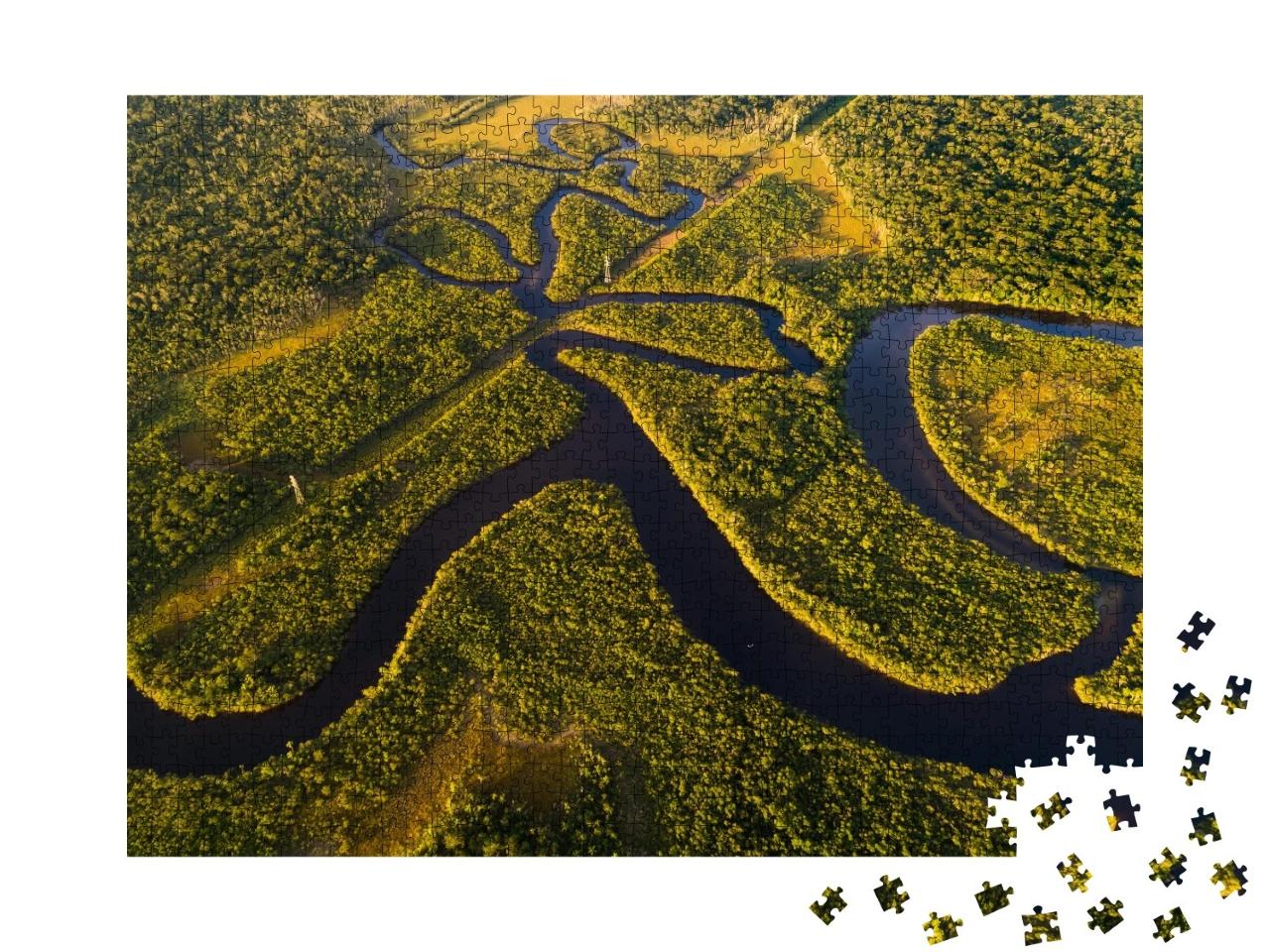 Puzzle de 1000 pièces « Vue aérienne de la forêt amazonienne au Brésil »