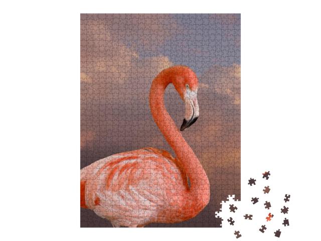 Puzzle de 1000 pièces « Flamant rose américain »