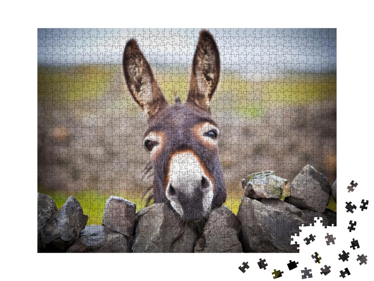 Puzzle de 1000 pièces « Un âne curieux »