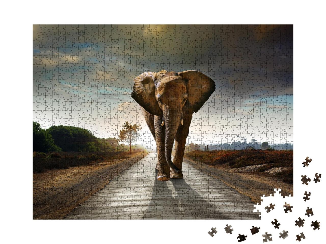 Puzzle de 1000 pièces « Eléphant sur une route »