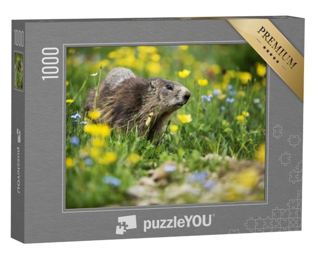 Puzzle de 1000 pièces « Marmotte dans une prairie au printemps »