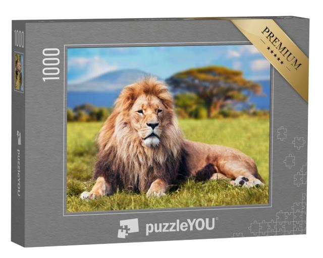 Puzzle de 1000 pièces « Grand lion dans l'herbe de la savane »