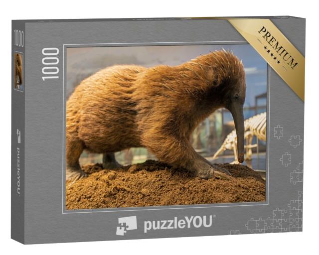Puzzle de 1000 pièces « Le long bec australien, fourmilier épineux »