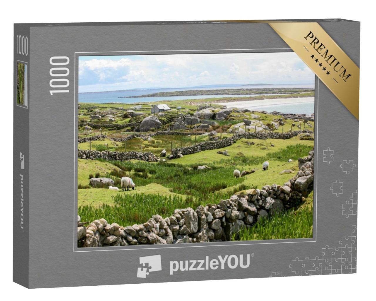 Puzzle de 1000 pièces « Murs de pierre irlandais sur la côte »