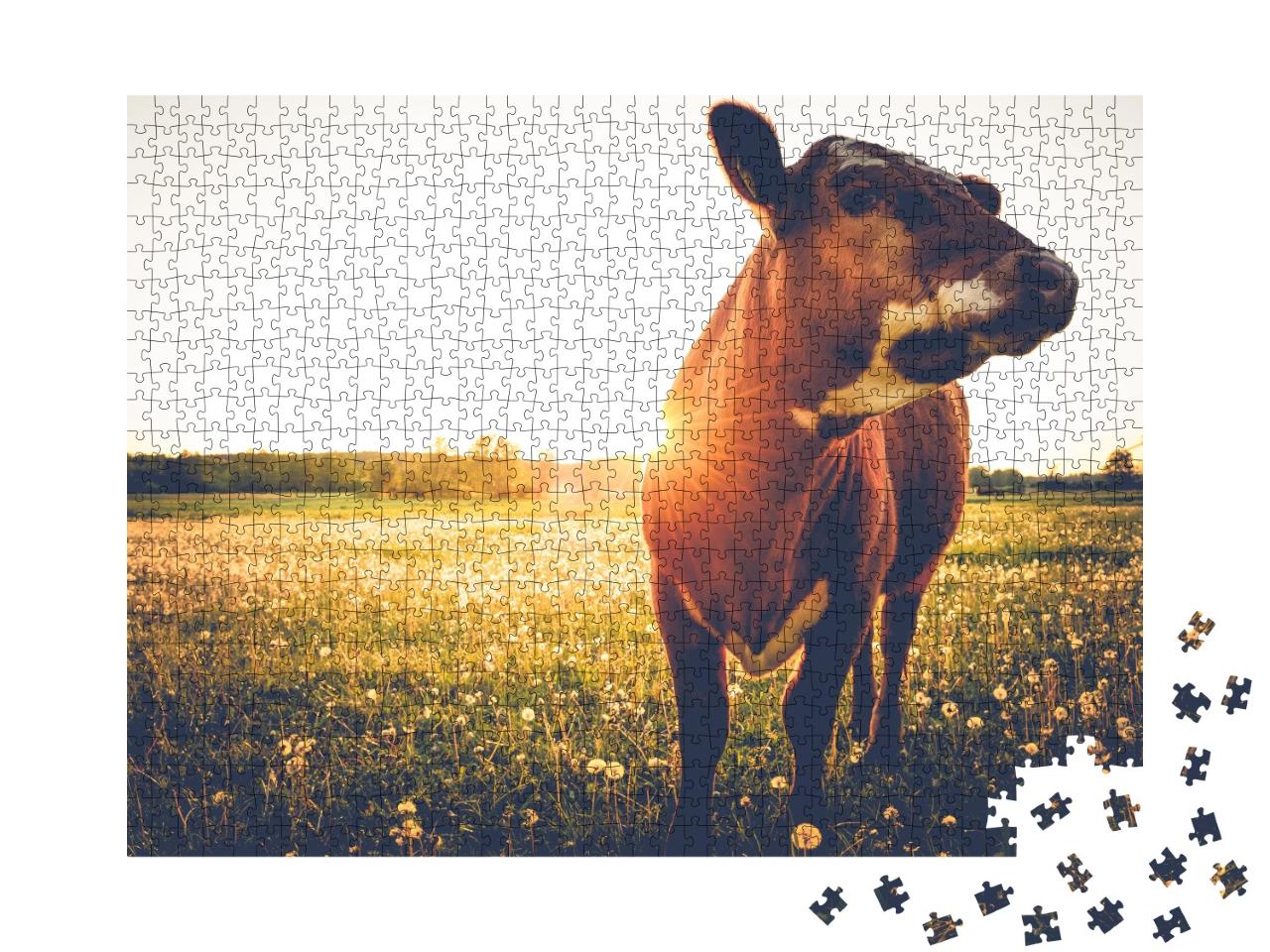 Puzzle de 1000 pièces « Vache seule et heureuse dans une prairie au coucher du soleil »