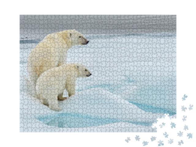 Puzzle de 1000 pièces « Mère et ourson polaires sur une banquise de l'océan Arctique, Norvège »