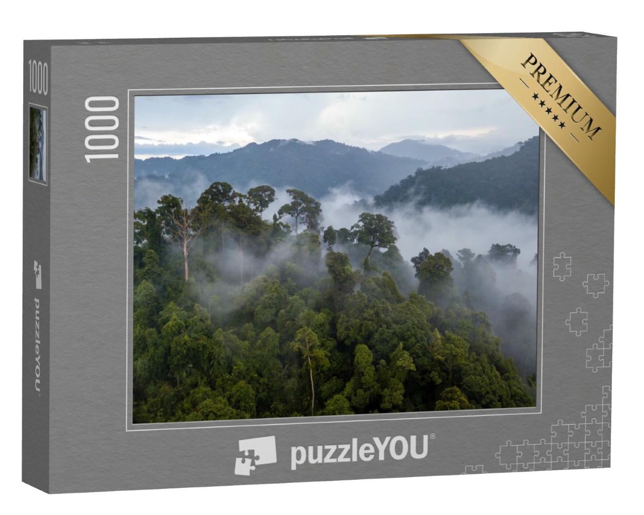 Puzzle de 1000 pièces « Brume au-dessus de la forêt tropicale après une tempête »