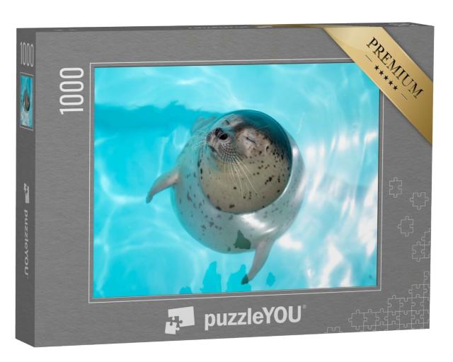 Puzzle de 1000 pièces « Bébé phoque, détendu dans l'eau »