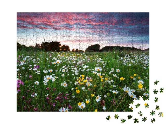 Puzzle de 1000 pièces « Fleurs sauvages d'été sur la prairie au coucher du soleil »