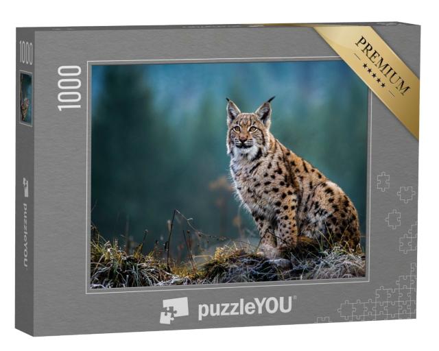 Puzzle de 1000 pièces « Lynx d'Eurasie »