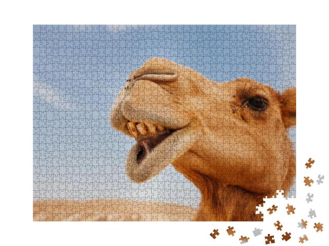Puzzle de 1000 pièces « Gros plan amusant sur un chameau »