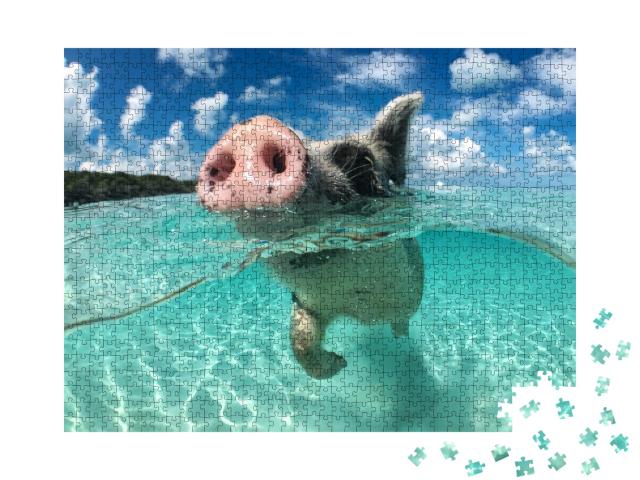 Puzzle de 1000 pièces « Un cochon flottant, Big Majors Cay, Bahamas »